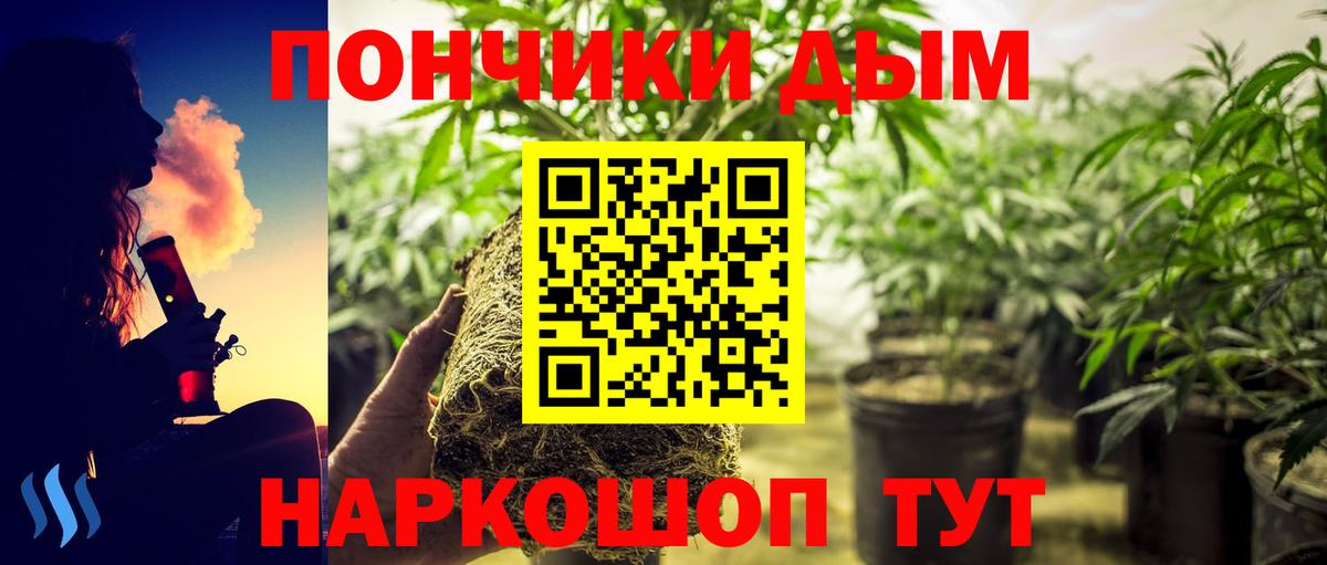 Лосино-Петровский  Марихуана LSD WEED  Вход с VPN  МАРИХУАНА семена  МАРИХУАНА индика 